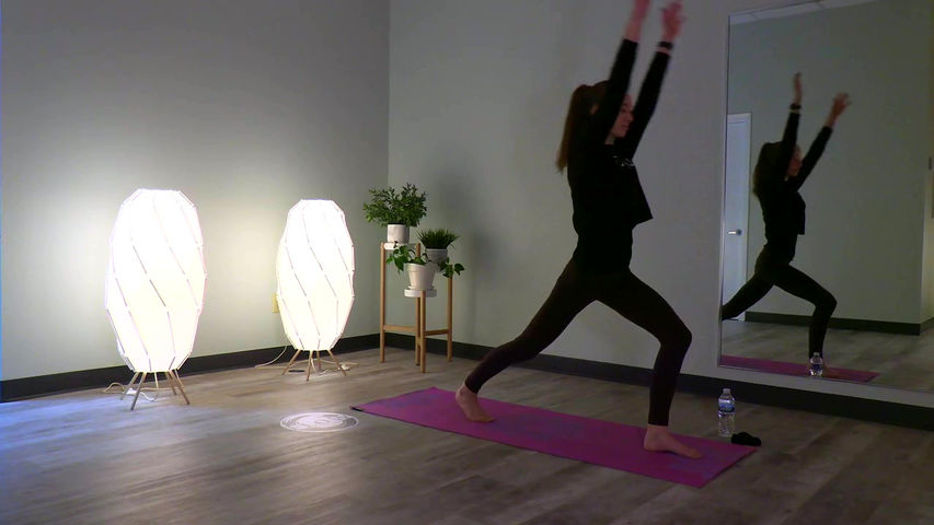 Vinyasa Flow